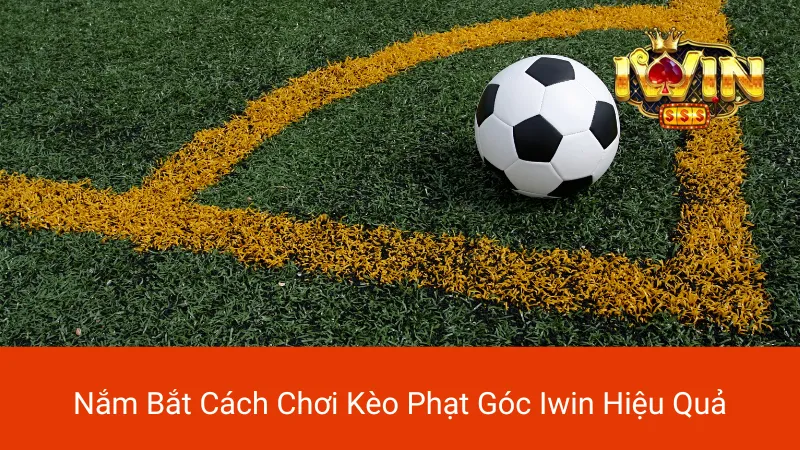 Khám phá Thế Giới Thể Thao Iwin Trải Nghiệm Đỉnh Cao Khám phá Thế Giới Thể Thao Iwin Trải Nghiệm Đỉnh Cao