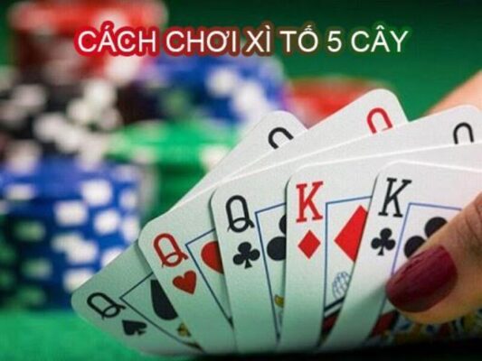 Khám Phá Thế Giới Xì Tố 5 Cây - Trò Chơi Đầy Kịch Tính và Chiến Thuật Khám Phá Thế Giới Xì Tố 5 Cây - Trò Chơi Đầy Kịch Tính và Chiến Thuật