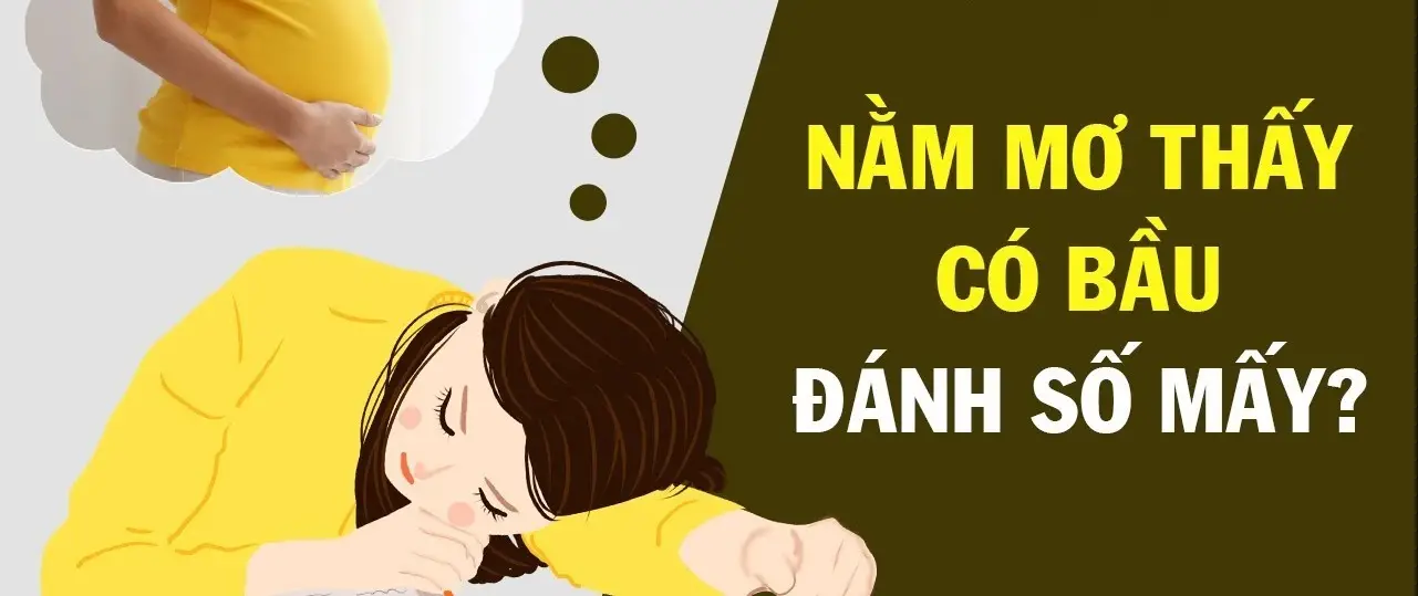 Mơ thấy có bầu lô đề đánh con gì - Giải mã giấc mơ và bí quyết chọn số may mắn Mơ thấy có bầu lô đề đánh con gì - Giải mã giấc mơ và bí quyết chọn số may mắn