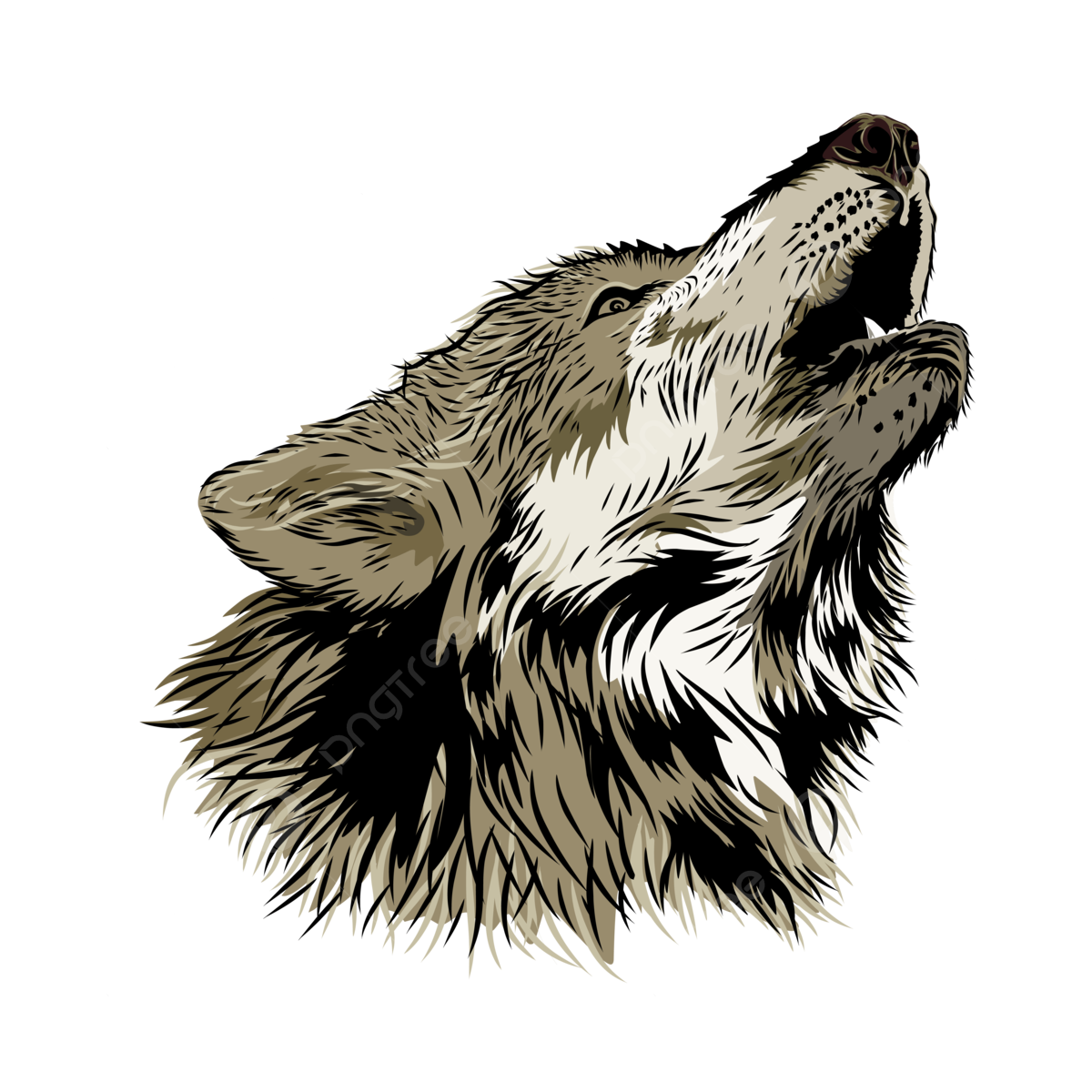 Nổ Hũ Wolf Gold - Trải Nghiệm Đầy Kích Thích Từ Game Slot Cổ Điển